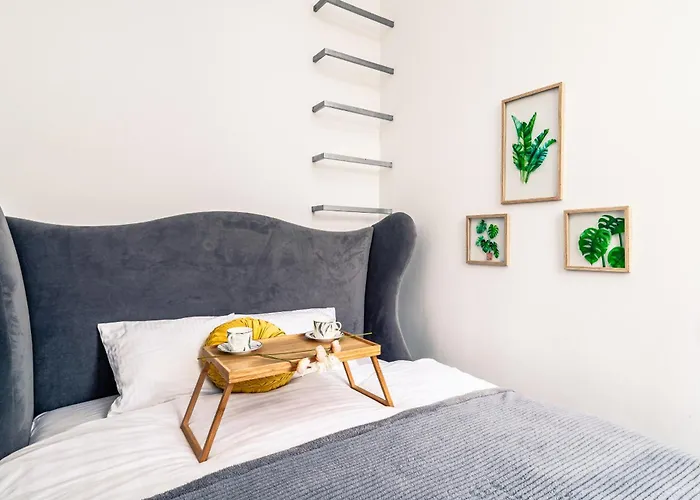 Srodmiescie - Location, Tram&park Nearby - By Rentujemy